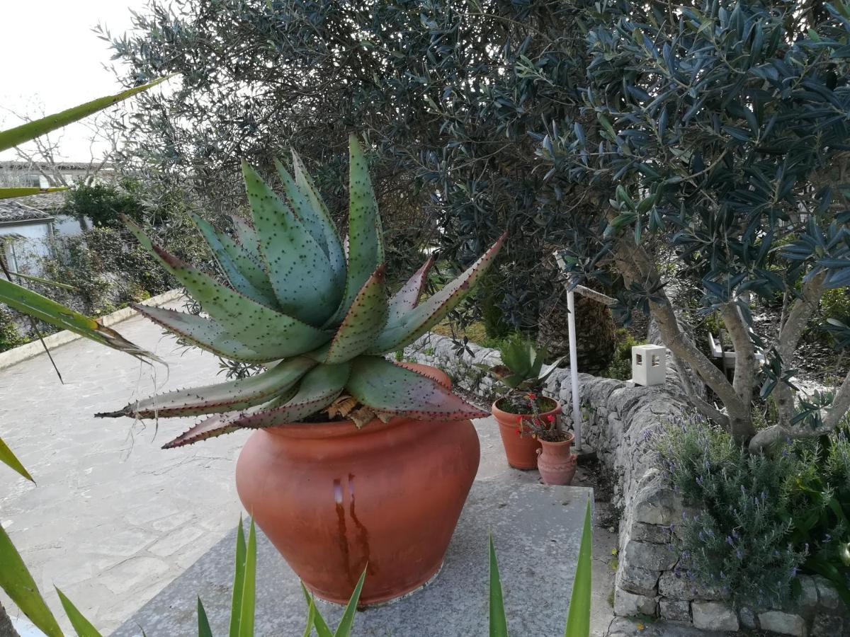 Casa Degli Avi Don Neli, Immersa Nella Natura Módica Exterior foto