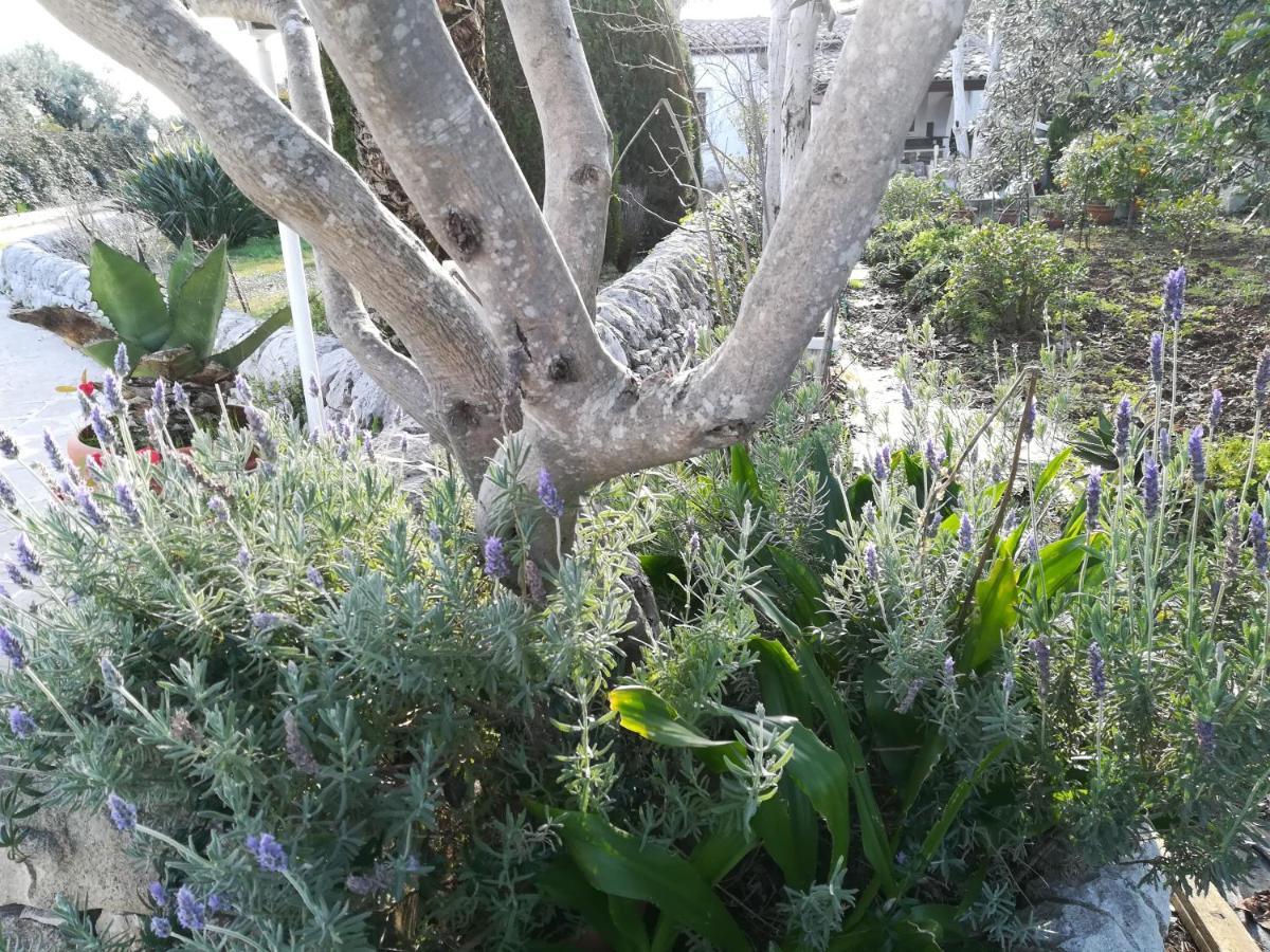Casa Degli Avi Don Neli, Immersa Nella Natura Módica Exterior foto